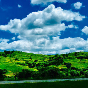 Meet your Posher, Jake